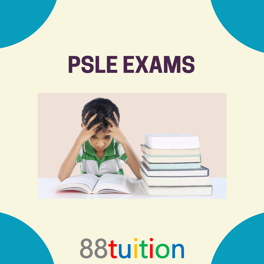 How to prepare your children academically and mentally for the PSLE exam?